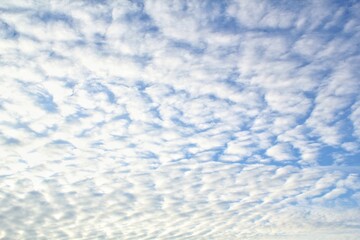 White light soft clouds floating in blue sky. Nature morning landscape background. Clear spring wind. Bright summer day. Winter calm air skyscape. Abstract panorama. Change climate. Low angle view