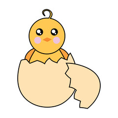 Chicken sits in an eggshell