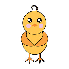 Cute chicken