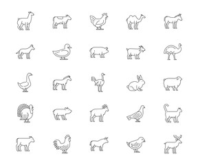 Set of farm animals and birds icons set. Vector illustration.