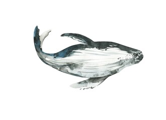 Watercolor cute whale . Hand painting postcard with whale isolated white background. Ocean animals