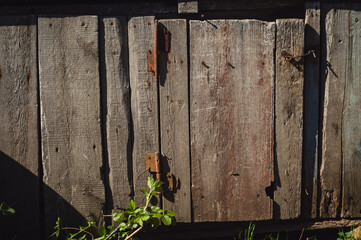 Old wooden barn door with rusty hinges and nails. The texture of the remains of an old wooden fence. Rural background