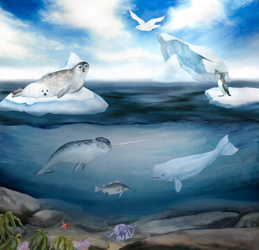 watercolor illustration of north sea landscape, underwater world, sky, iceberg, narwhal, seal, guillemot, seagulls, white wale, cod, crab, starfish
