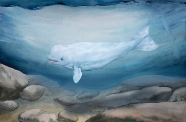 Naklejka premium watercolor illustration of north sea landscape, underwater world, white wale