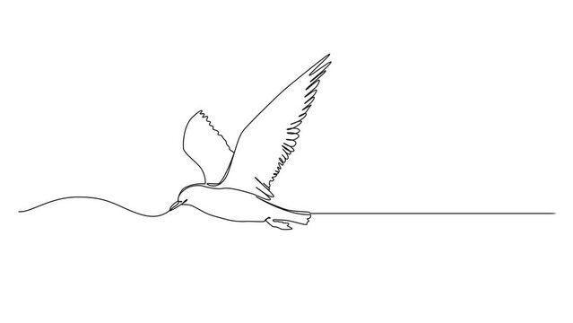animated continuous single line drawing of bird in mid-air, single line animation