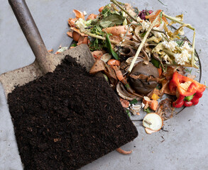 Compost before and after, showing kitchen vegetable waste scraps, plant material and grass...