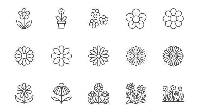 Chamomile line icons set. Daisy flower, echinacea vector illustration. Outline signs for camomile tea. Editable Stroke