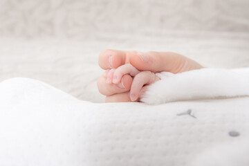 Main d'un nouveau-né avec ses parents 