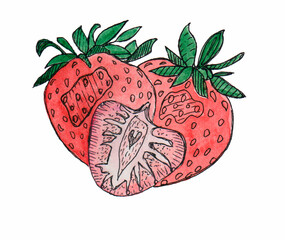 Hand drawnstrawberry on a white background