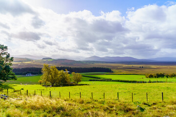 Fototapeta na wymiar Countryside landscape in Cairngorms National Park