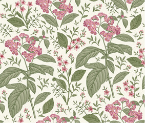 Seamless pattern. Heliotrope garden wildflowers. Beautiful blooming realistic isolated flowers. Vintage background fabric Wallpaper baroque Drawing engraving sketch Vector victorian illustration retro