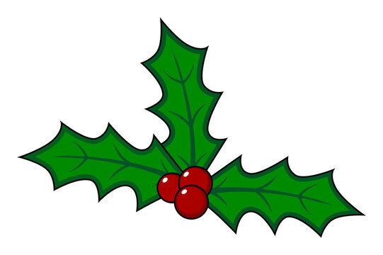 Christmas holly icon. Element for design. 