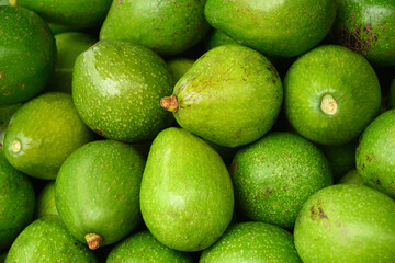 Fresh healthy green avocado on market as background. Agriculture. Food background.