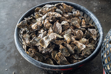 Grilled fresh oyster in Taiwan, famous street food.