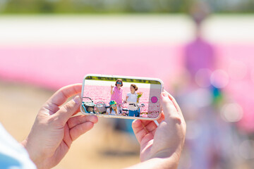 Family on bike in tulip flower fields, Holland