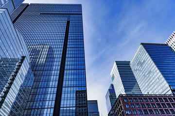 太陽の光が綺麗な東京のビル群