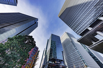 Obraz premium 太陽の光が綺麗な東京のビル群