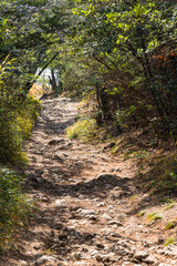 日本　香川県観音寺市の稲積山頂上にある高屋神社の天空の鳥居へ向かう参道