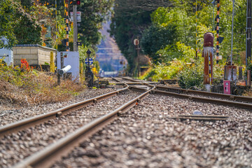 Fototapeta premium 樽見鉄道