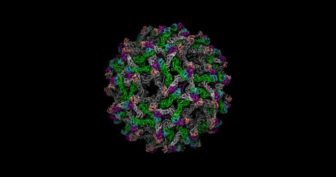 Immature Zika virus particle 3D molecule spinning  4K