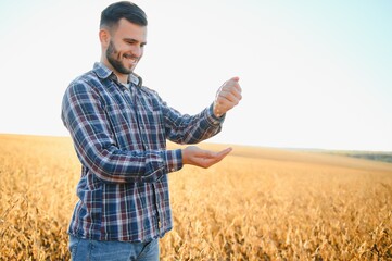 agronomist or farmer examining crop of soybeans field.