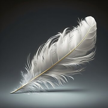 feather Generative Ai