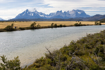Patagonian forest, golden Pampas, River Serrano and snowy mountains of Torres del Paine National...