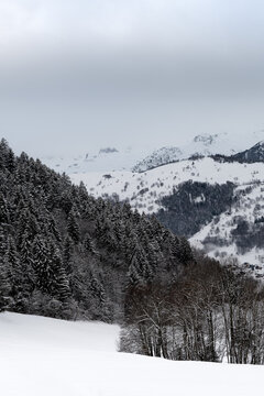 Paysage de montagne sous la neige.