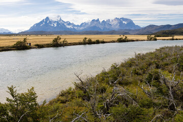 Patagonian forest, golden Pampas, River Serrano and snowy mountains of Torres del Paine National Park in Chile, Patagonia, South America
