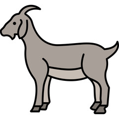 Goat


