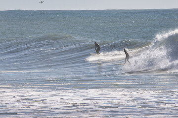 Naklejka premium giant winter waves on surfers point in Ventura California