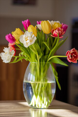 Naklejka premium Kolorowe tulipany w wazonie