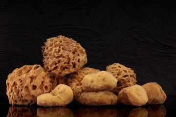 A group of natural cosmetic sponges on a black background.