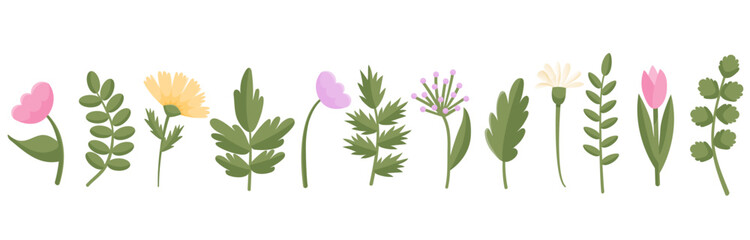 Banner with different flowers and leaves, colorful flowers set, spring and summer themes. Vector illustration