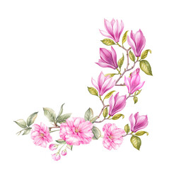Fototapeta na wymiar Differents flower magnolia and sakura on white background. Watercolor floral illustration