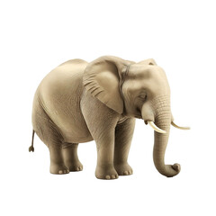 elephant isolated on background