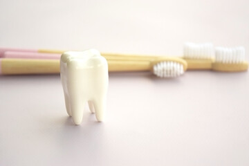 Toothbrushes with a small figure of a tooth on a light background.