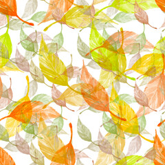 Summer seamless pattern with leaves.