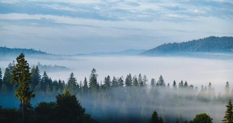 Panorama of forest covered by low clouds. Autumn rain and fog on the mountain hills. Misty fall...