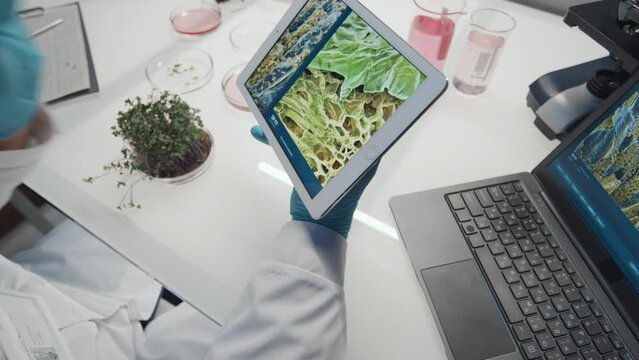 Close-up of gloved hand of male biotechnologist volumizing image of plant cell on tablet screen while sitting by workplace in laboratory and carrying out new experiment