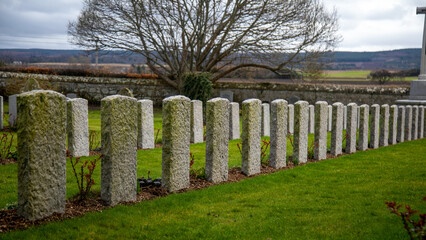 Rows of war graves