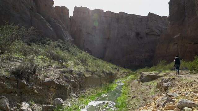 Hiker At Piedra Parada Gorge, Chubut.