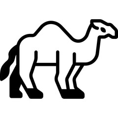 Camel


