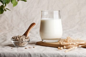 Sunflower seed milk in glass on textile background with plant. copy space. Raw diet meal. Healthy...
