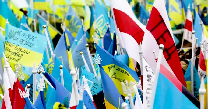 blue-yellow flags of ukraine with a trident in memory of those killed in the war between ukraine and russia. horizontal.