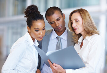 Business people going through documents. Portrait of multi racial business people going through...
