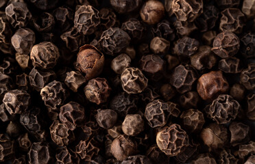 Black pepper bed covered in full screen macro. Close up