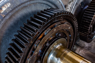 Locomotive drive gears on restoration. Teeth only in focus. Low depth of field.