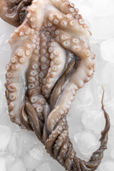 Raw uncooked octopus on an ice surface, food ingredients
