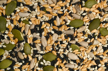 Seeds mixture, for backgrounds or textures